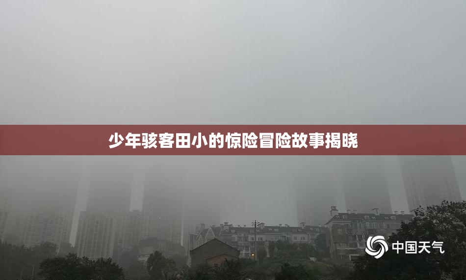 少年骇客田小的惊险冒险故事揭晓