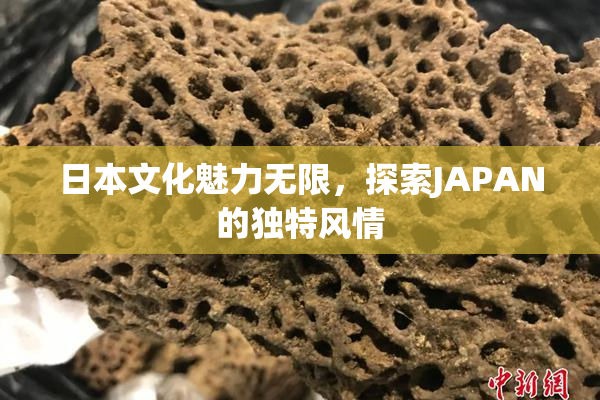 日本文化魅力无限，探索JAPAN的独特风情