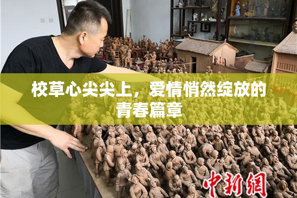 校草心尖尖上，爱情悄然绽放的青春篇章