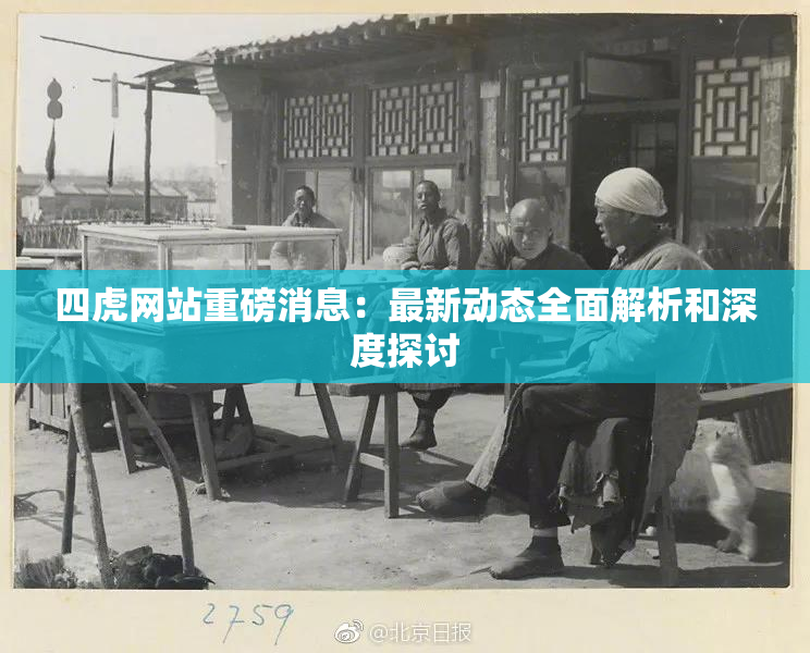 四虎网站重磅消息：最新动态全面解析和深度探讨