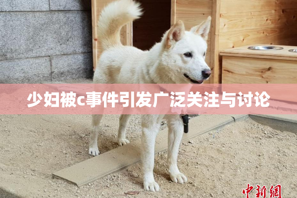 少妇被c事件引发广泛关注与讨论