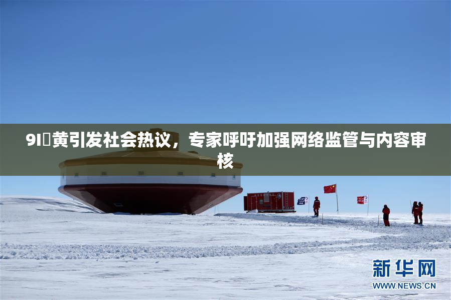 9I婬黄引发社会热议，专家呼吁加强网络监管与内容审核
