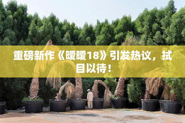 重磅新作《暧暧18》引发热议，拭目以待！