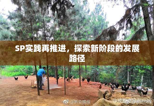 SP实践再推进，探索新阶段的发展路径