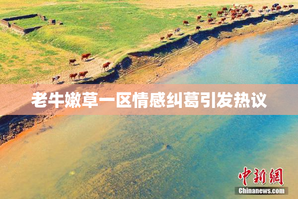 老牛嫩草一区情感纠葛引发热议