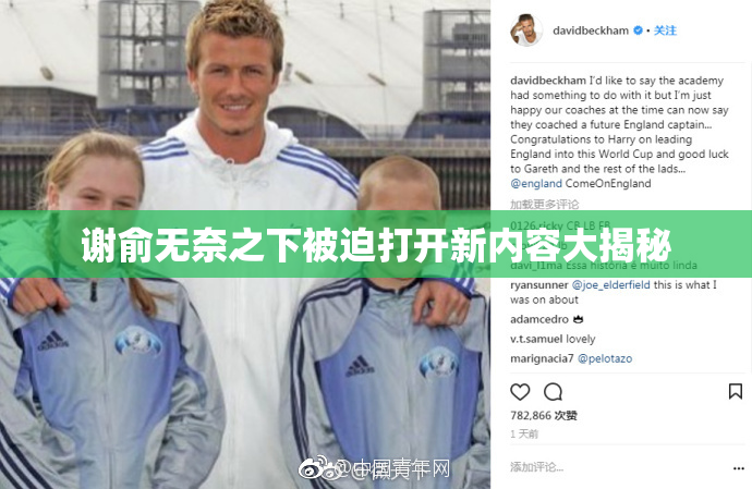 谢俞无奈之下被迫打开新内容大揭秘