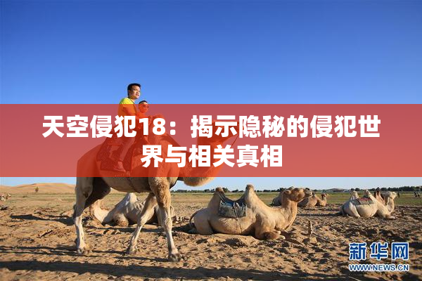 天空侵犯18：揭示隐秘的侵犯世界与相关真相