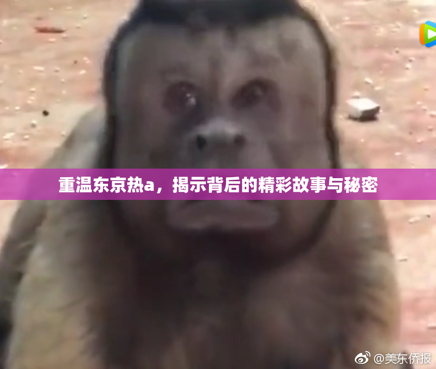 重温东京热a，揭示背后的精彩故事与秘密