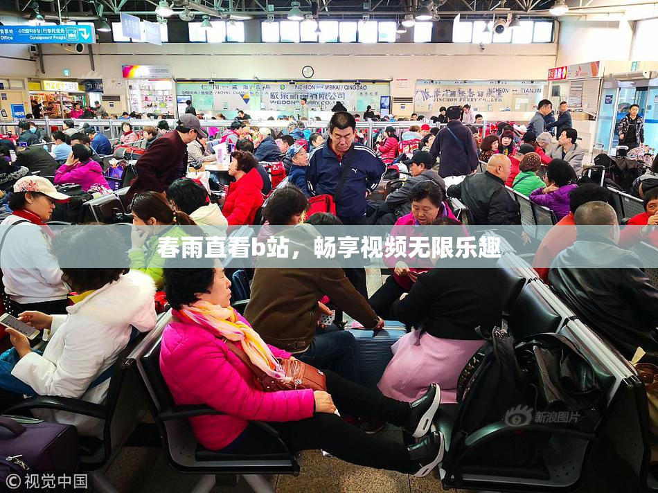 春雨直看b站，畅享视频无限乐趣