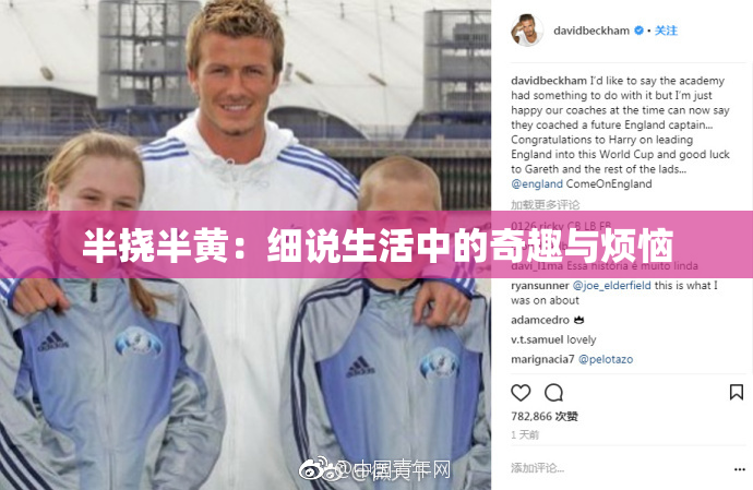 半挠半黄：细说生活中的奇趣与烦恼