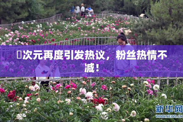 囧次元再度引发热议，粉丝热情不减！