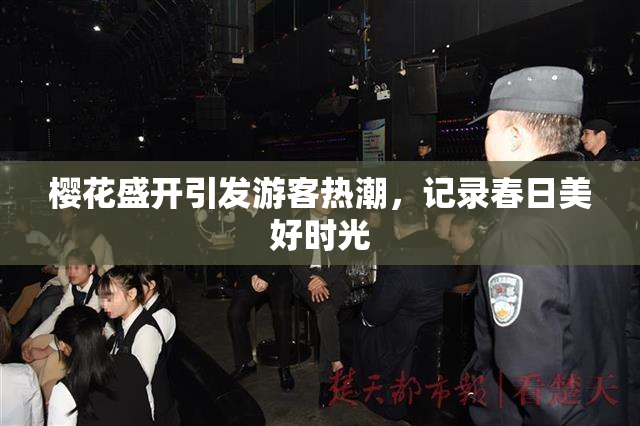 樱花盛开引发游客热潮，记录春日美好时光