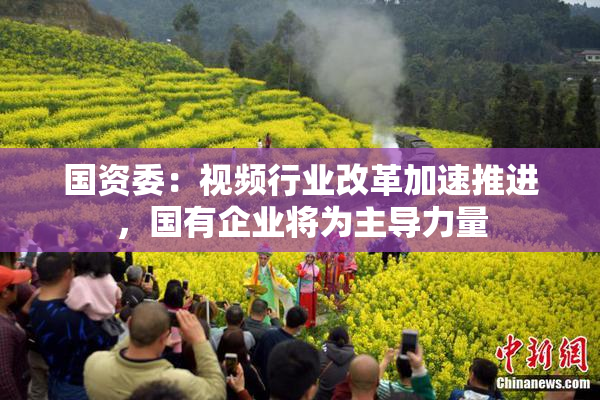 国资委：视频行业改革加速推进，国有企业将为主导力量