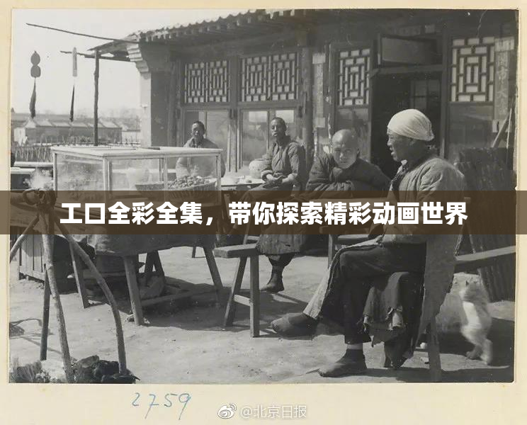工口全彩全集，带你探索精彩动画世界