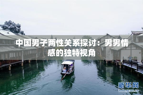 中国男子两性关系探讨：男男情感的独特视角