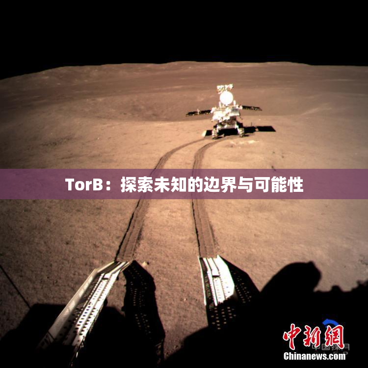 TorB：探索未知的边界与可能性