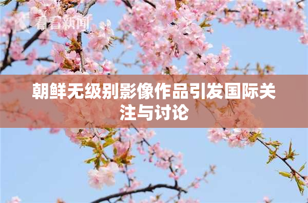 朝鲜无级别影像作品引发国际关注与讨论