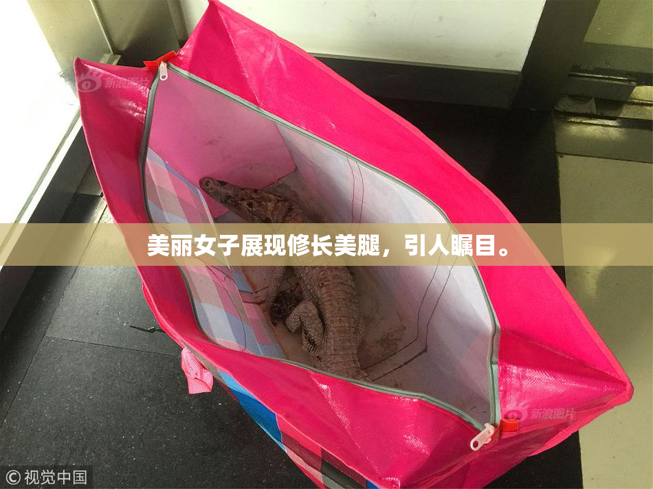 美丽女子展现修长美腿，引人瞩目。