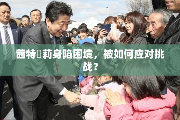 茜特菈莉身陷困境，被如何应对挑战？