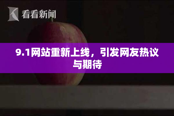 9.1网站重新上线，引发网友热议与期待
