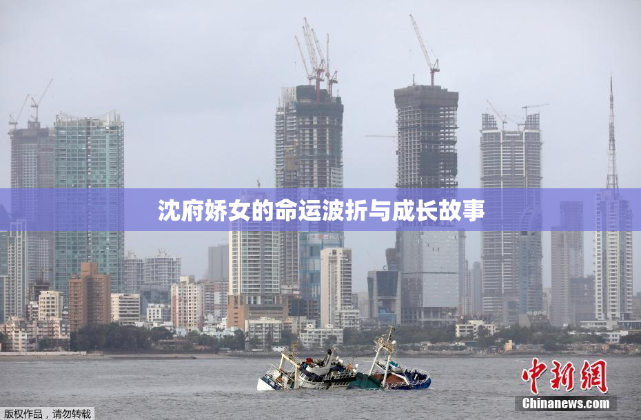沈府娇女的命运波折与成长故事