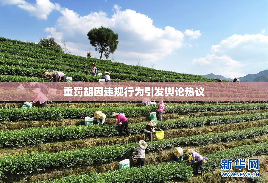 重罚胡因违规行为引发舆论热议