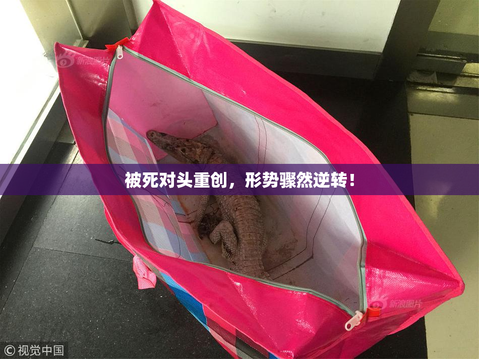 被死对头重创，形势骤然逆转！