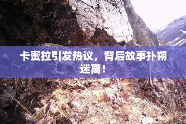 卡蜜拉引发热议，背后故事扑朔迷离！