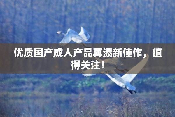 优质国产成人产品再添新佳作，值得关注！