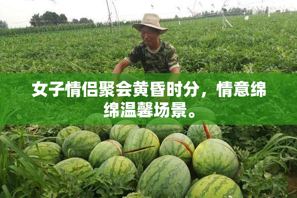 女子情侣聚会黄昏时分，情意绵绵温馨场景。