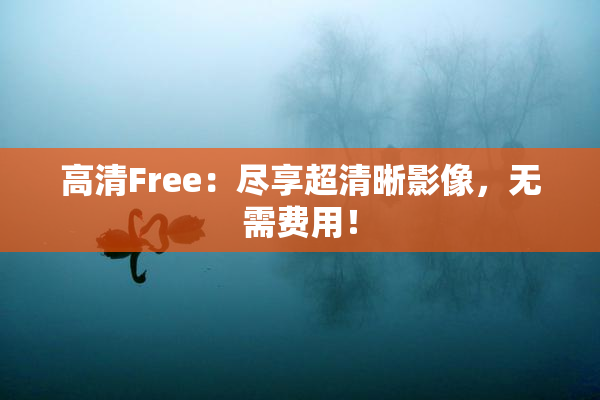 高清Free：尽享超清晰影像，无需费用！