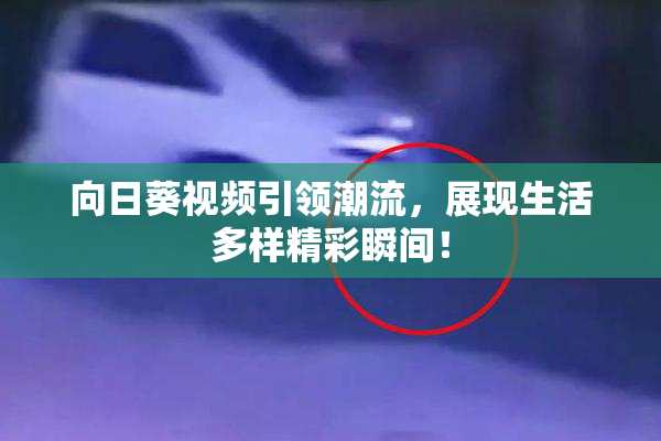 向日葵视频引领潮流，展现生活多样精彩瞬间！