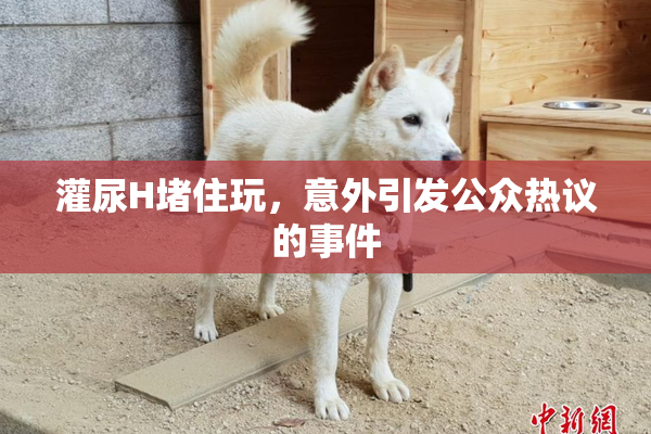 灌尿H堵住玩，意外引发公众热议的事件