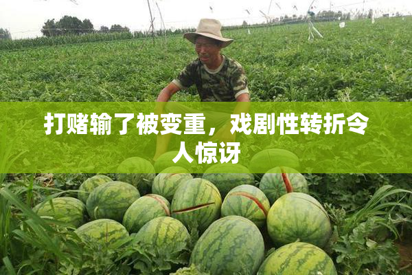 打赌输了被变重，戏剧性转折令人惊讶