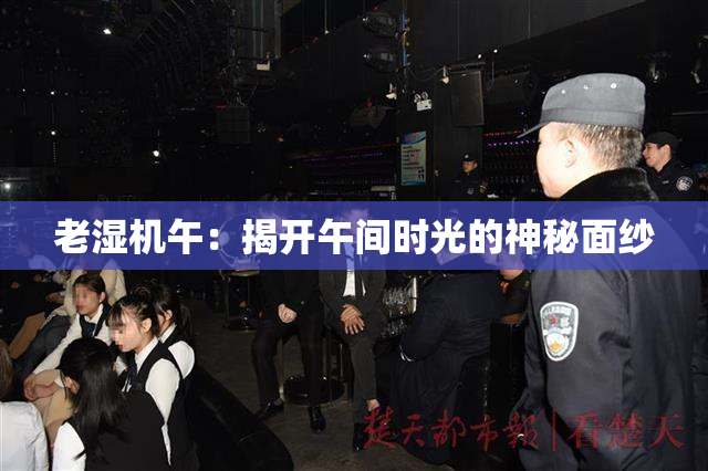 老湿机午：揭开午间时光的神秘面纱