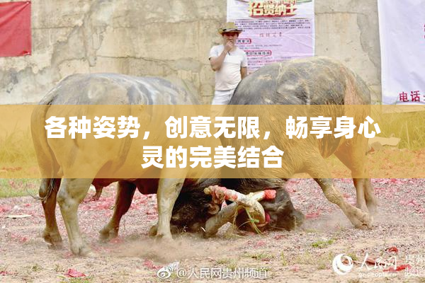 各种姿势，创意无限，畅享身心灵的完美结合