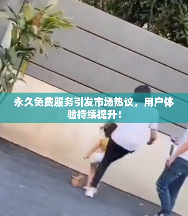 永久免费服务引发市场热议，用户体验持续提升！