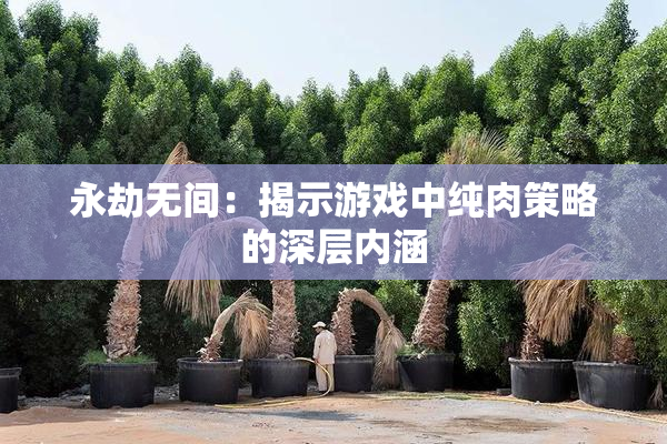 永劫无间：揭示游戏中纯肉策略的深层内涵