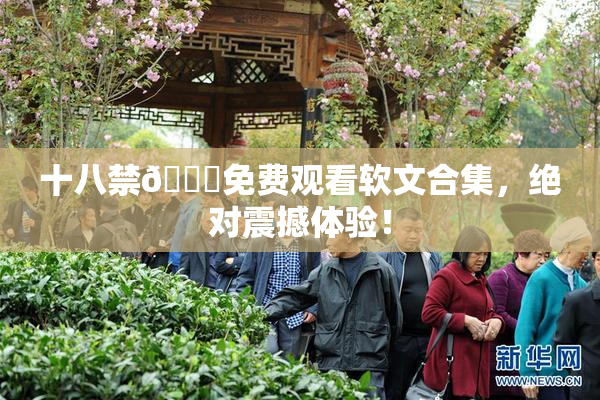 十八禁🔞免费观看软文合集，绝对震撼体验！