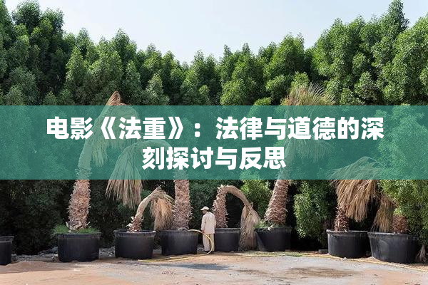 电影《法重》：法律与道德的深刻探讨与反思