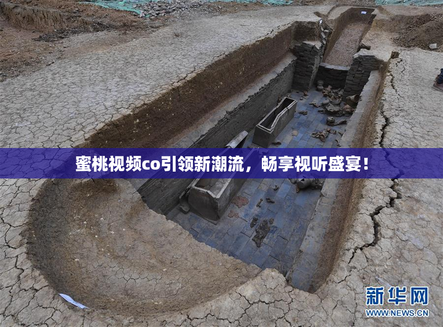 蜜桃视频co引领新潮流，畅享视听盛宴！