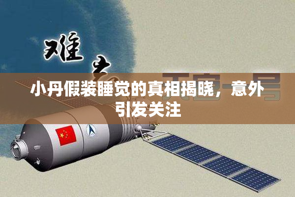小丹假装睡觉的真相揭晓，意外引发关注
