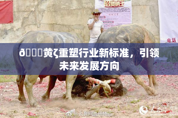 🔞黄ζ重塑行业新标准，引领未来发展方向