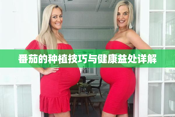 番茄的种植技巧与健康益处详解