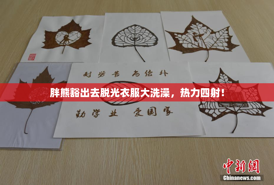 胖熊豁出去脱光衣服大洗澡，热力四射！