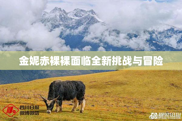 金妮赤裸裸面临全新挑战与冒险