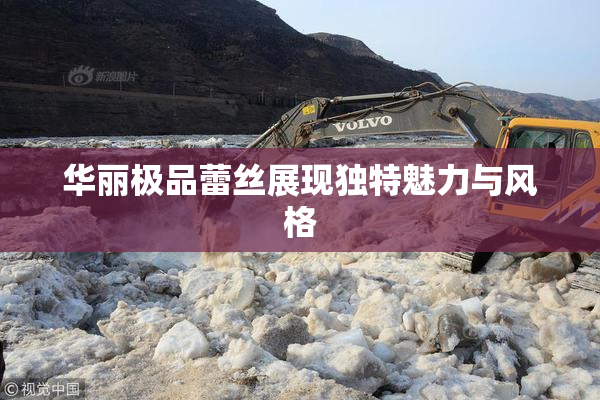 华丽极品蕾丝展现独特魅力与风格