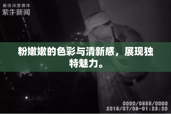 粉嫩嫩的色彩与清新感，展现独特魅力。