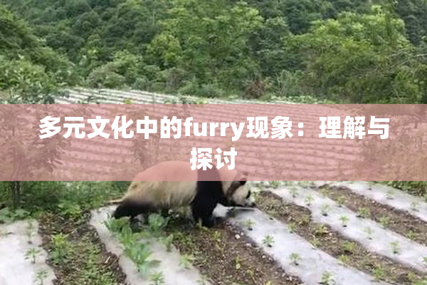 多元文化中的furry现象：理解与探讨