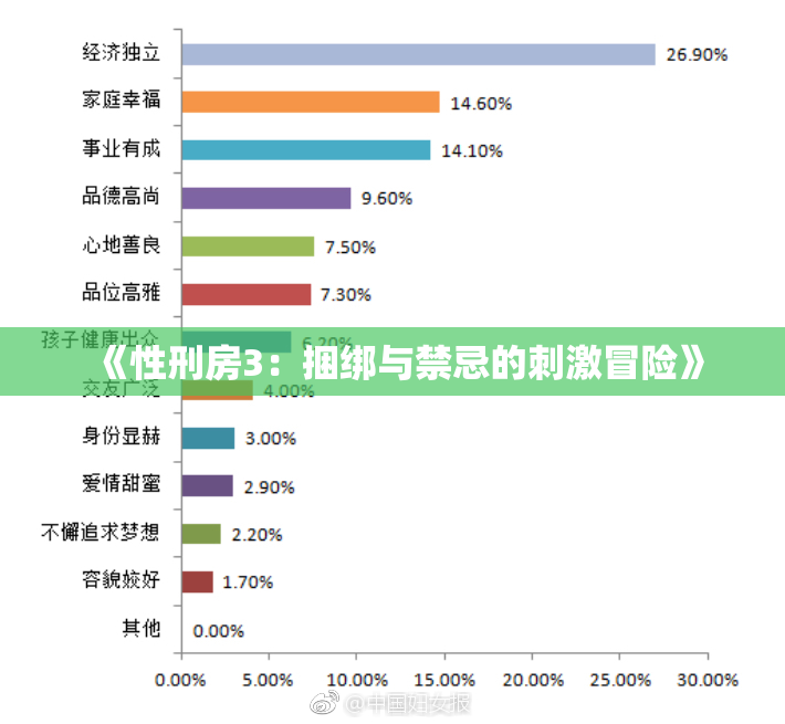 《性刑房3：捆绑与禁忌的刺激冒险》